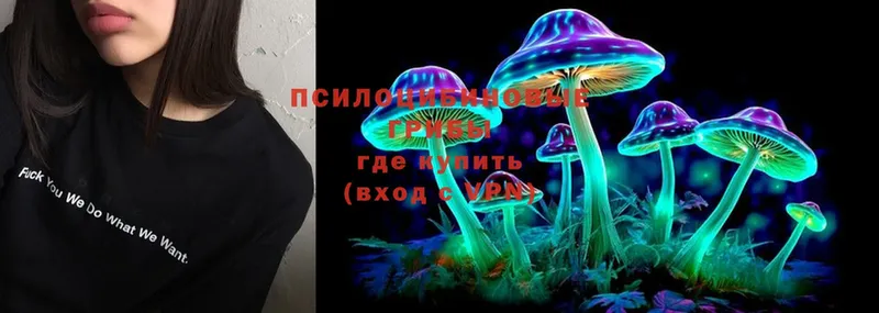 Псилоцибиновые грибы MAGIC MUSHROOMS  даркнет сайт  omg tor  Серпухов 